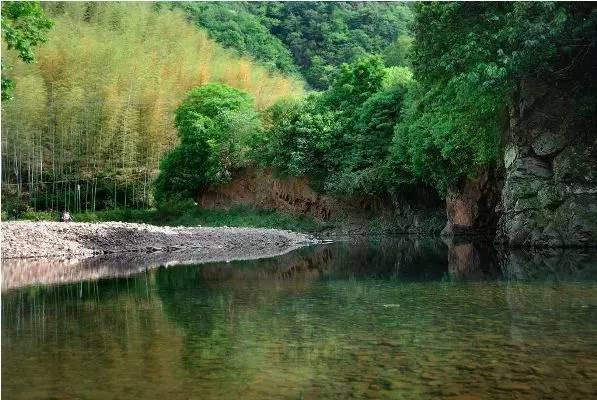虫虫助手下载