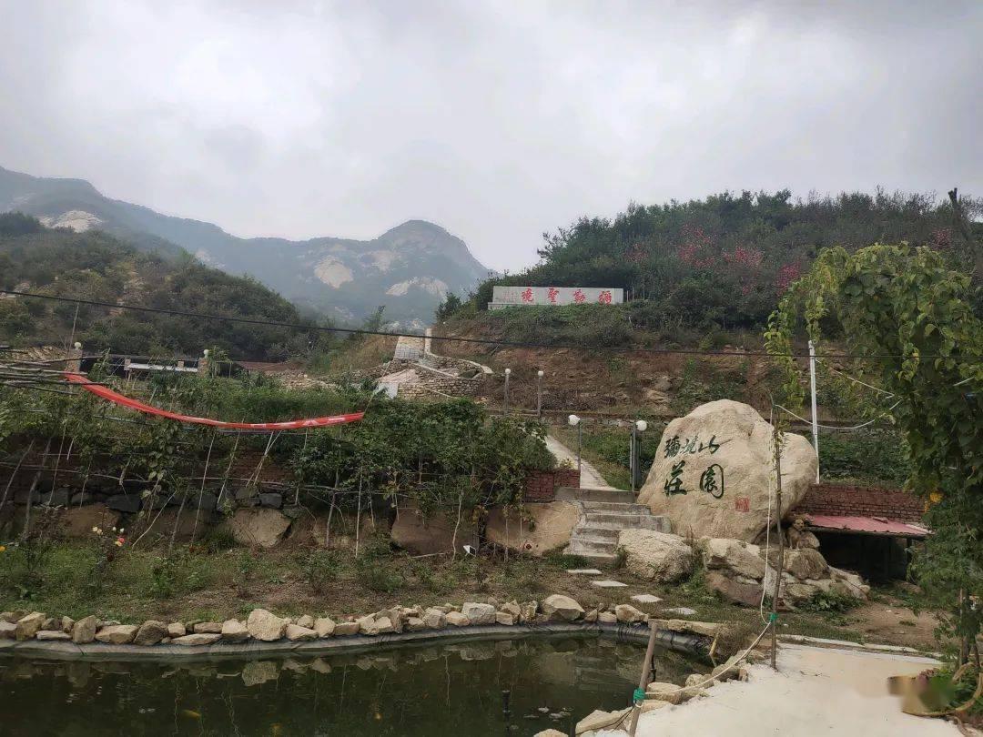 菠萝和凤梨的区别是什么？游戏画面