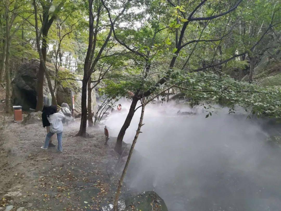 妙笔写青山!武汉市青山区首届青少年书法大赛举行