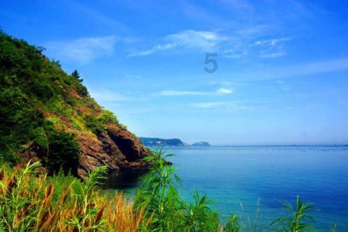 全民剧本大师内置菜单
