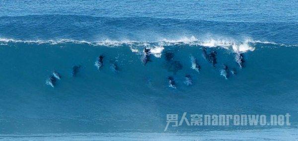 收集代表议案建议 确保件件落实到底 江苏公布人大代表提出议案和建议情况